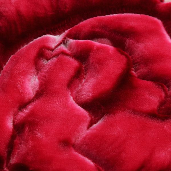 2021 Super Luxurious Soft Warm Weighted Blanket Double Layer Raschel Mink Blanket For Double Bed Winter 2